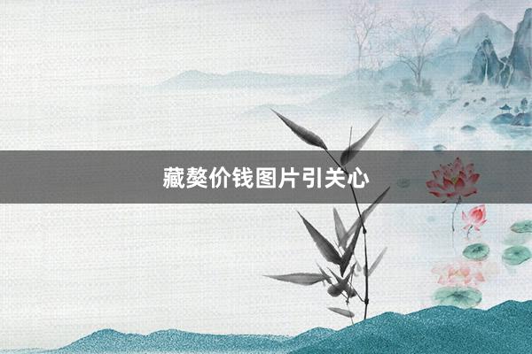 藏獒价钱图片引关心